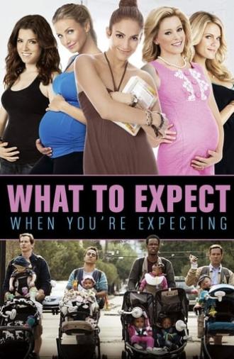 What to Expect When You're Expecting (2012)