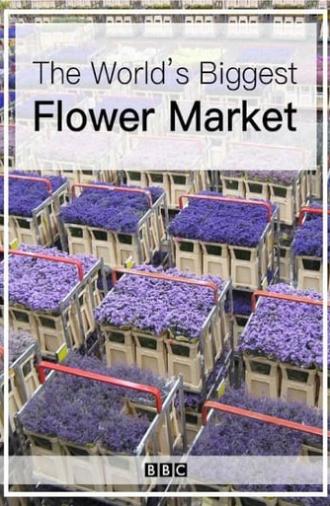 The World's Biggest Flower Market (2016)