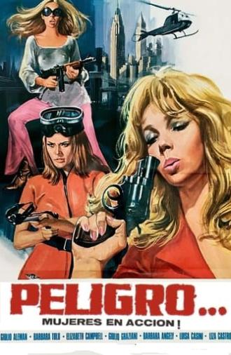 Peligro...! Mujeres en acción (1969)