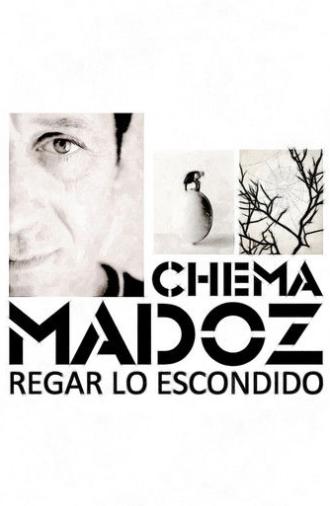 Chema Madoz: regar lo escondido (2013)