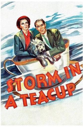Storm in a Teacup (1937)