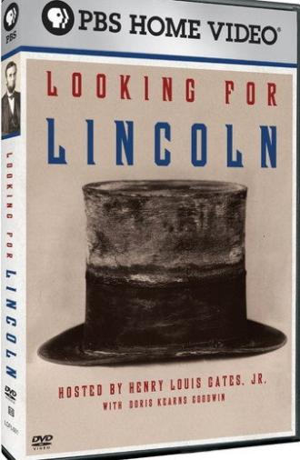 Looking for Lincoln (2009)