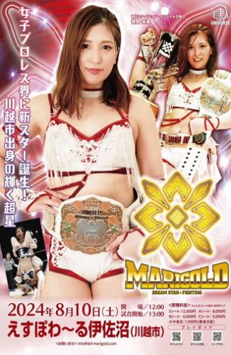 Marigold Summer Gold Shine 2024 ~ Day 8 (2024)