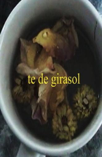 te de girasol (2025)