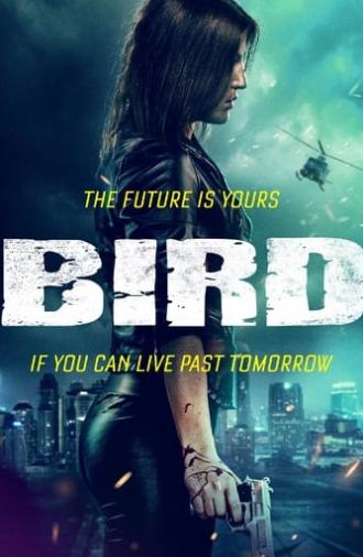 Bird (2020)