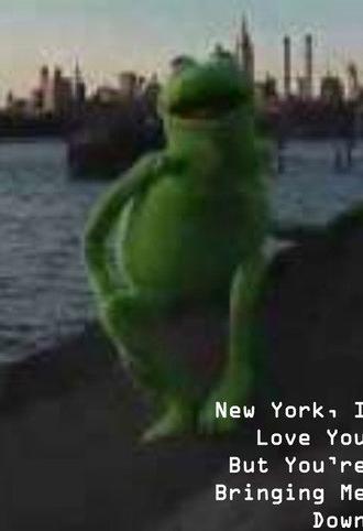 New York, I Love You But You're Bringing Me Down (2008)