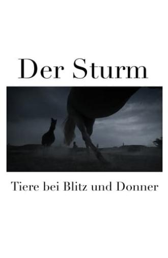 Der Sturm - Tiere bei Blitz und Donner (2023)
