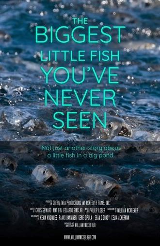 The Biggest Little Fish You've Never Seen (2024)