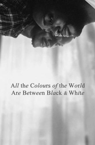 All the Colours of the World Are Between Black and White (2023)