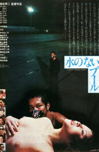 A Pool Without Water (1982)
