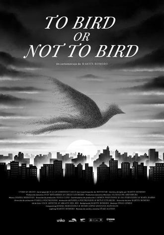 To Bird or Not to Bird (2024)