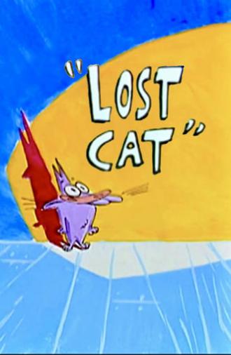 Lost Cat (2000)