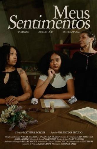 Meus Sentimentos (2025)