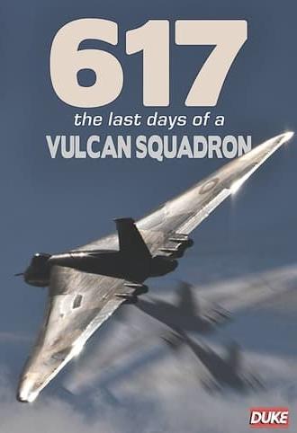 617: The Last Days of a Vulcan Squadron (1982)