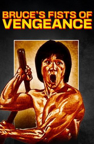 Bruce's Fists Of Vengeance (1980)