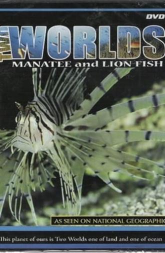 Two Worlds: Manatee and Lion Fish (2006)