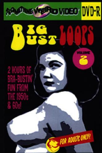 Big Bust Loops Volume 2 (2009)