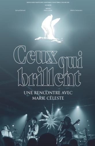 Ceux qui brillent (2026)