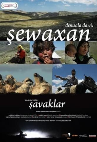 The Last Season: Shawaks (2009)