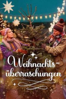 Weihnachtsüberraschungen (2025)