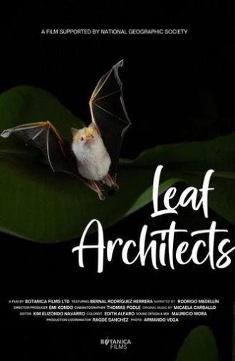 Leaf Architects (2025)