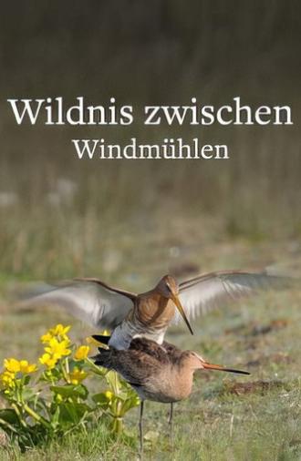 Wildlife in Windmill Country (2025)