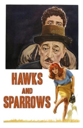 The Hawks and the Sparrows (1966)