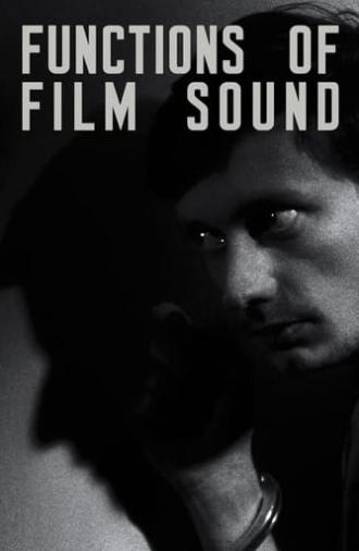 Functions of Film Sound (2013)