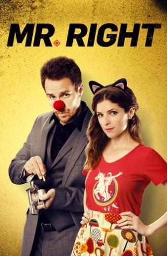 Mr. Right (2016)