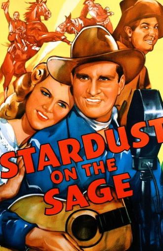 Stardust on the Sage (1942)