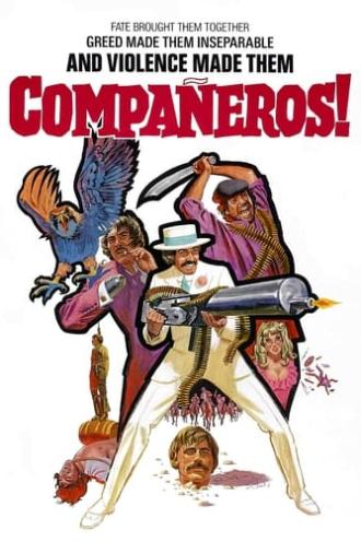 Compañeros (1970)