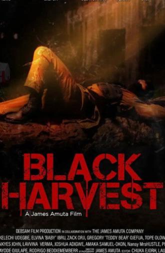 Black Harvest (2023)