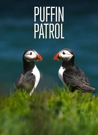 Puffin Patrol (2015)