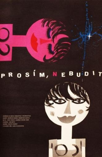 Prosím, nebudit (1963)