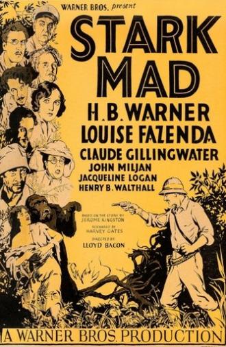 Stark Mad (1929)