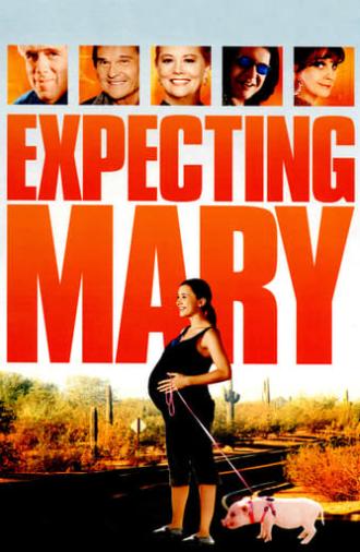 Expecting Mary (2010)