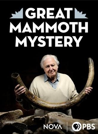 Great Mammoth Mystery (2022)