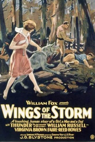 Wings of the Storm (1926)