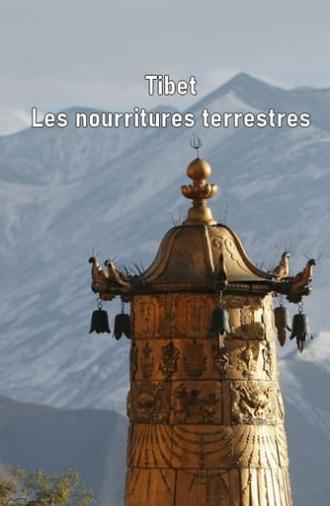 Tibet - Les nourritures terrestres (2011)