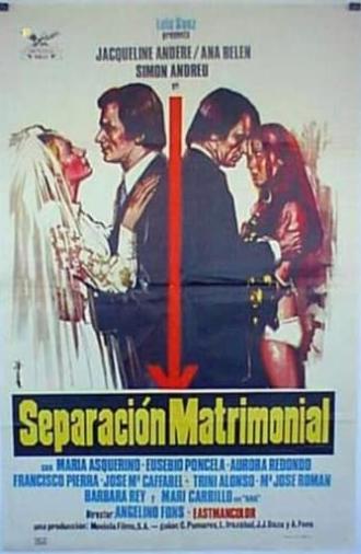 Separación matrimonial (1973)