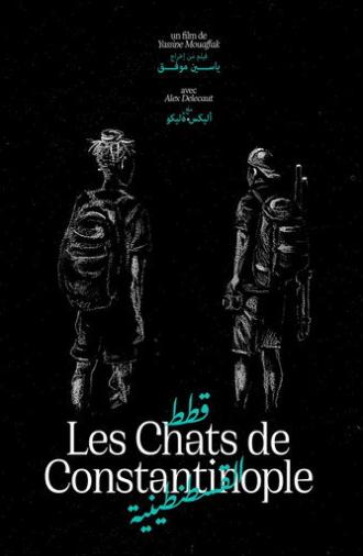 Les Chats de Constantinople (2025)