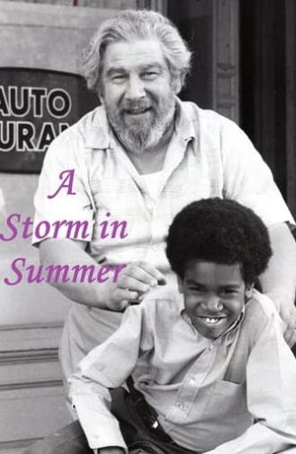 A Storm in Summer (1970)