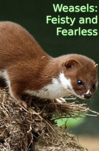Weasels: Feisty and Fearless (2019)
