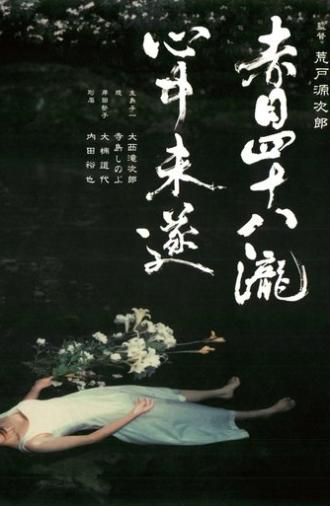 Akame 48 Waterfalls (2003)