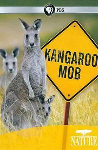 Kangaroo Mob (2011)