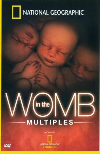 In the Womb: Multiples (2007)