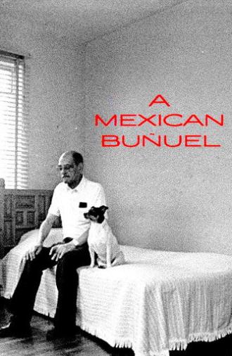 A Mexican Buñuel (1997)