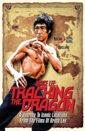 Bruce Lee: Tracking the Dragon (2016)