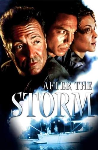 After the Storm (2001)