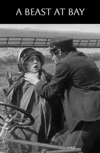 A Beast at Bay (1912)